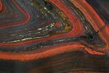 Polished Tiger Iron Stromatolite - ( Billion Years) #92979-1